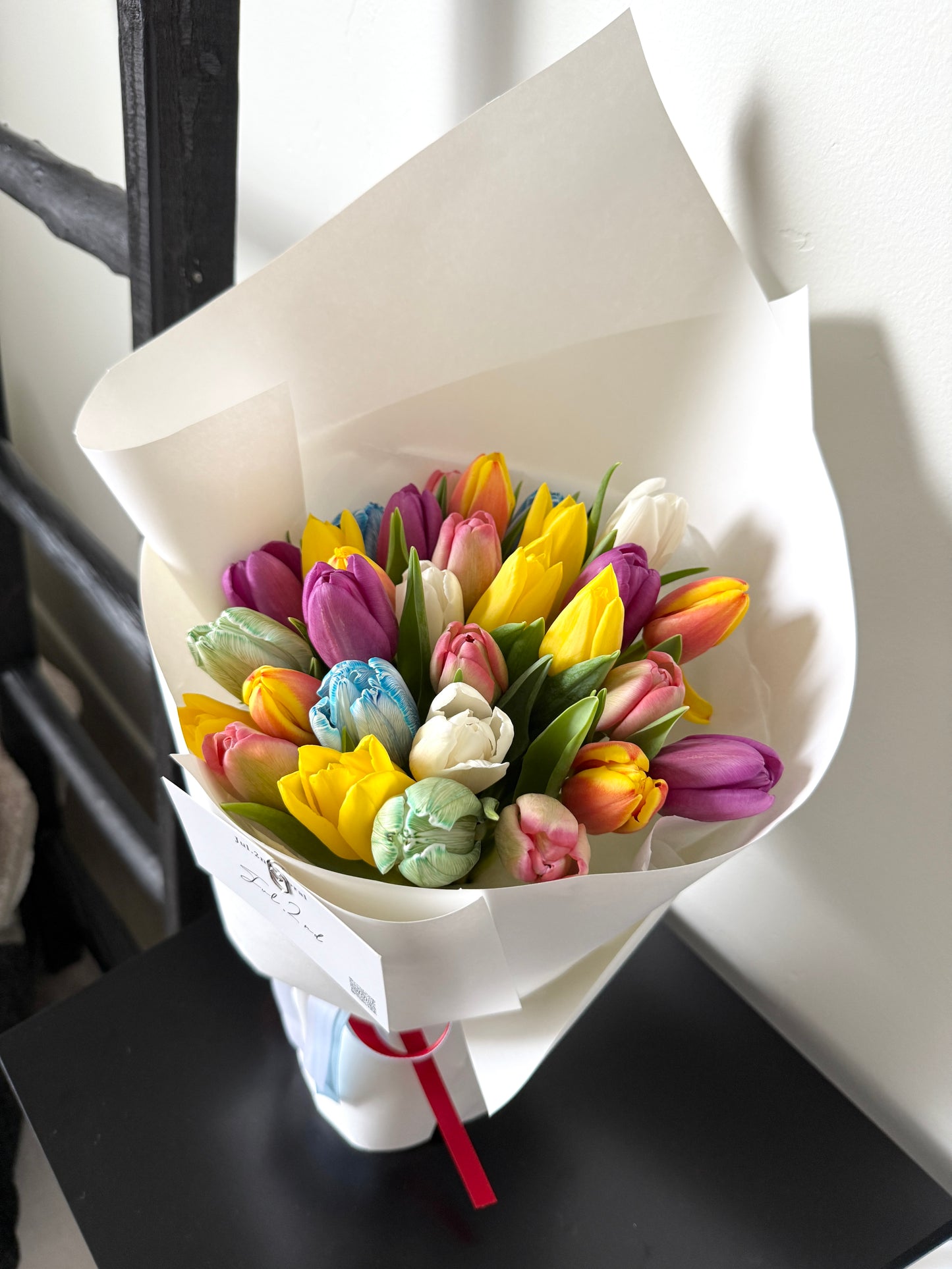 Rainbow Tulip